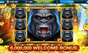 dk wine apk